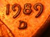 DSCN5525.jpg