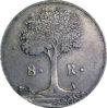 Cen Amer 1829 8R Tree.jpg