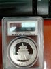 2012 Panda Slabbed Reverse.jpg