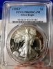 1999 P Silver Eagle.jpg