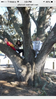 IMG_3439 (1).PNG