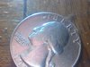 IMG_20170630_161159.jpg