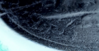 20170703_191726.png