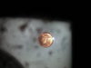 20170704_203333.jpg