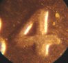 1984Dddo1Cent3.jpg