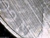 striped2004pJeffy-12.jpg