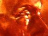 DSCN5581-640x480.jpg