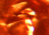 FotoFlexer_Photo.jpg