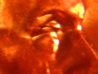 DSCN5581.JPG