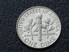 DSCN6960.JPG