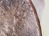 20170411_092804.jpg