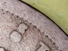 20170310_084547.jpg