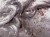 20170403_085954.jpg