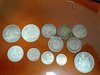Australian Silver.jpg