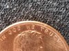 IMG_20170727_150101.jpg