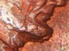 DSCN5725.jpg