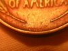 DSCN5773.jpg