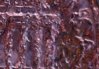 closeup1.jpg