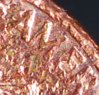 closeup3.jpg
