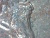 coins 004.JPG
