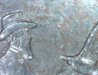 coins 001.JPG