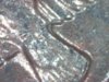 coins 006.JPG