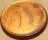 SV202763.jpg