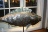 Fish Coin Sculpture overview.jpg