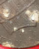 2014 Penny Error 14.png