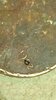 20170814_155205.jpg