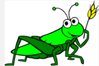 IMG_20170816_010220.jpg