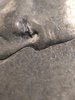 IMG_20170816_021417.jpg