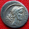 CAESARIMP.jpg