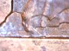 1990 Cent Rev Struck Thru (8).jpg