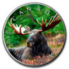 maple-animals-flag-16-front-6_MOOSE__57803.1502073566.jpg