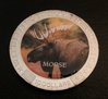 Moose Front.jpg