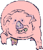Mad_pig.gif