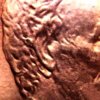 1984%20OBV_%20Doubled%20Die%20Obverse%20MS66RD%20-%20DOUBLE%20EAR.jpg