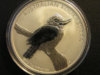 2010 kookaburra reverese.JPG