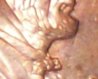 close 2007 mouth.jpg