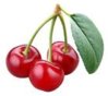 cherry.jpg