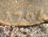 1702 token date.jpg