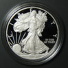 2008 ASE obv excellent 250k.jpg