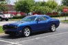 DSC_0011r.jpg
