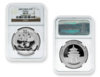 214Panda2009MS70.jpg