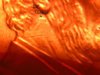 FotoFlexer_Photo.jpg