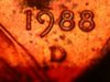 DSCN6285.jpg