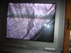 DSCF2408.jpg