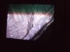 DSCF2407.jpg