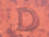 FotoFlexer_Photo.jpg